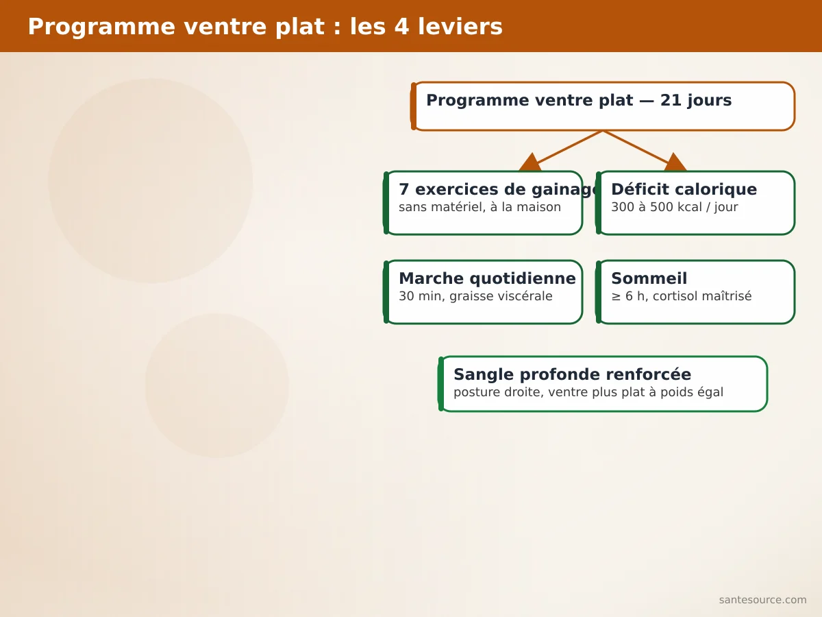 Carte mentale du programme ventre plat 21 jours : 7 exercices de gainage, déficit calorique, marche quotidienne et sommeil reliés à la sangle profonde