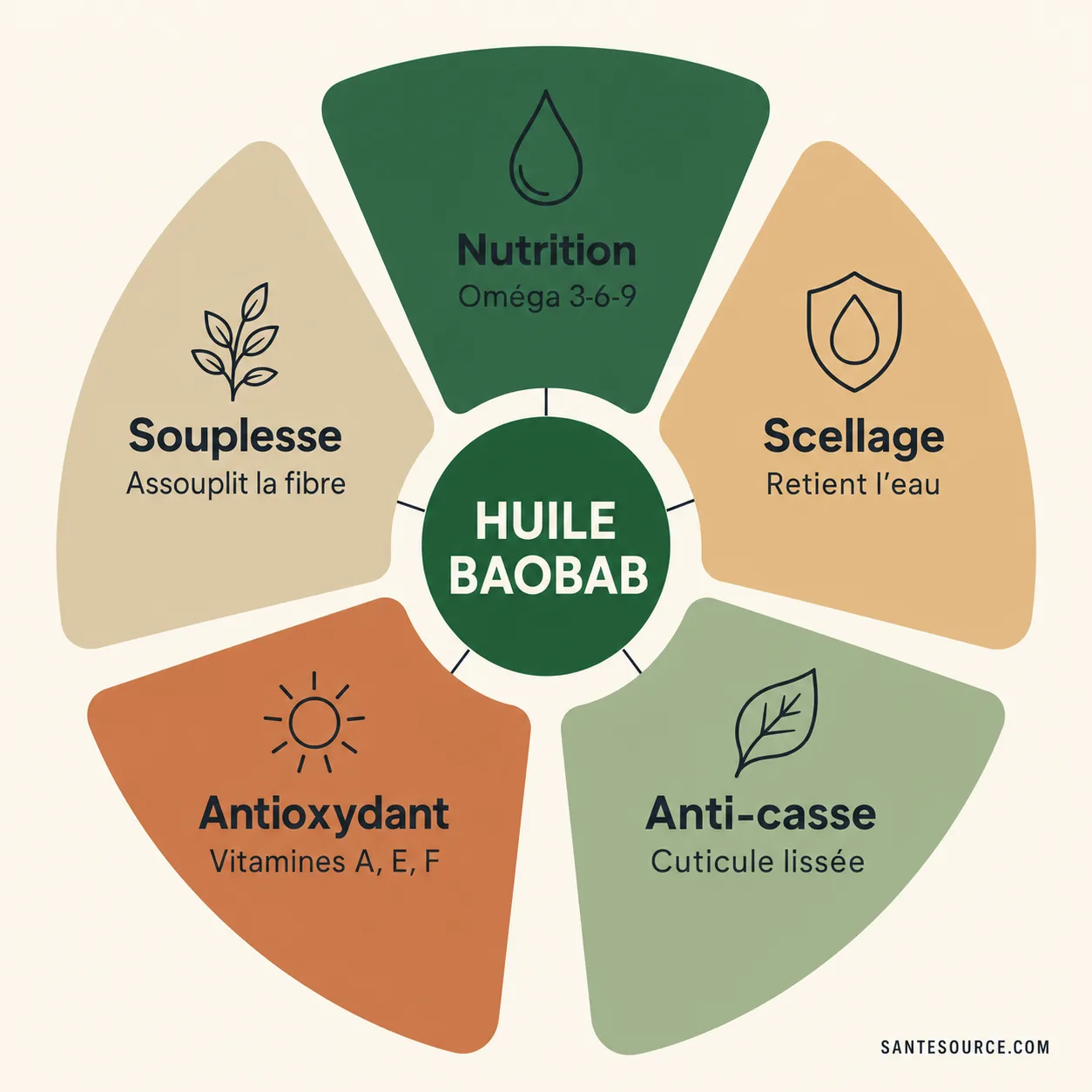 Carte mentale des actions de l'huile de baobab sur les cheveux crépus : nutrition, scellage, anti-casse, antioxydants