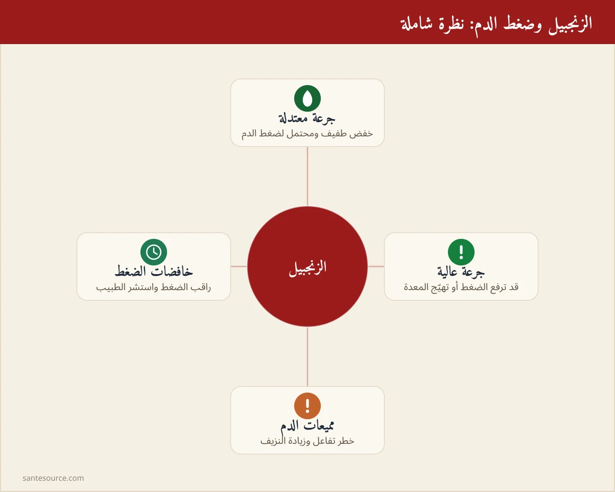 خريطة ذهنية تلخّص تأثير الزنجبيل على ضغط الدم حسب الجرعة والتفاعلات الدوائية