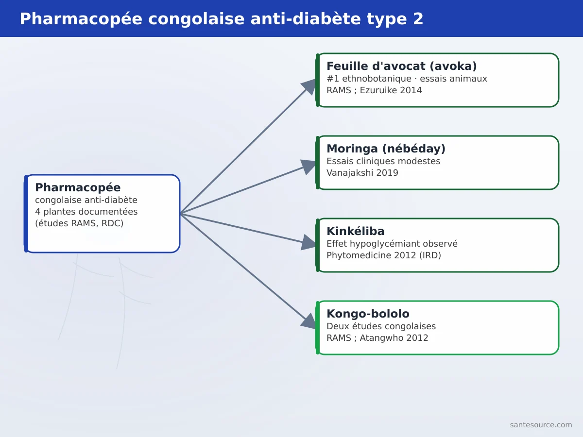 Carte mentale des quatre plantes anti-diabète type 2 documentées en RDC : feuille d'avocat, moringa, kinkéliba, kongo-bololo