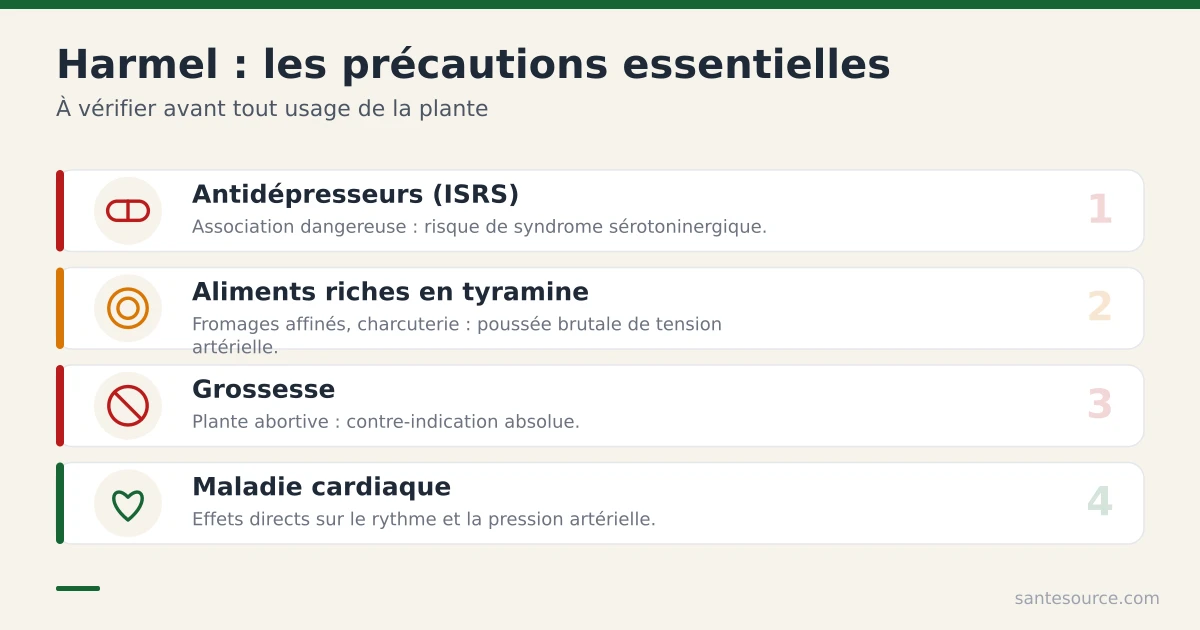 Récapitulatif des précautions et interactions du harmel : antidépresseurs ISRS, aliments riches en tyramine, grossesse et maladie cardiaque