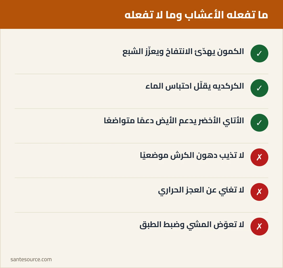 ملخص مرئي: الأعشاب تساعد على الهضم والشبع وتدعم عجزًا حراريًا لكنها لا تذيب دهون البطن موضعيًا وحدها