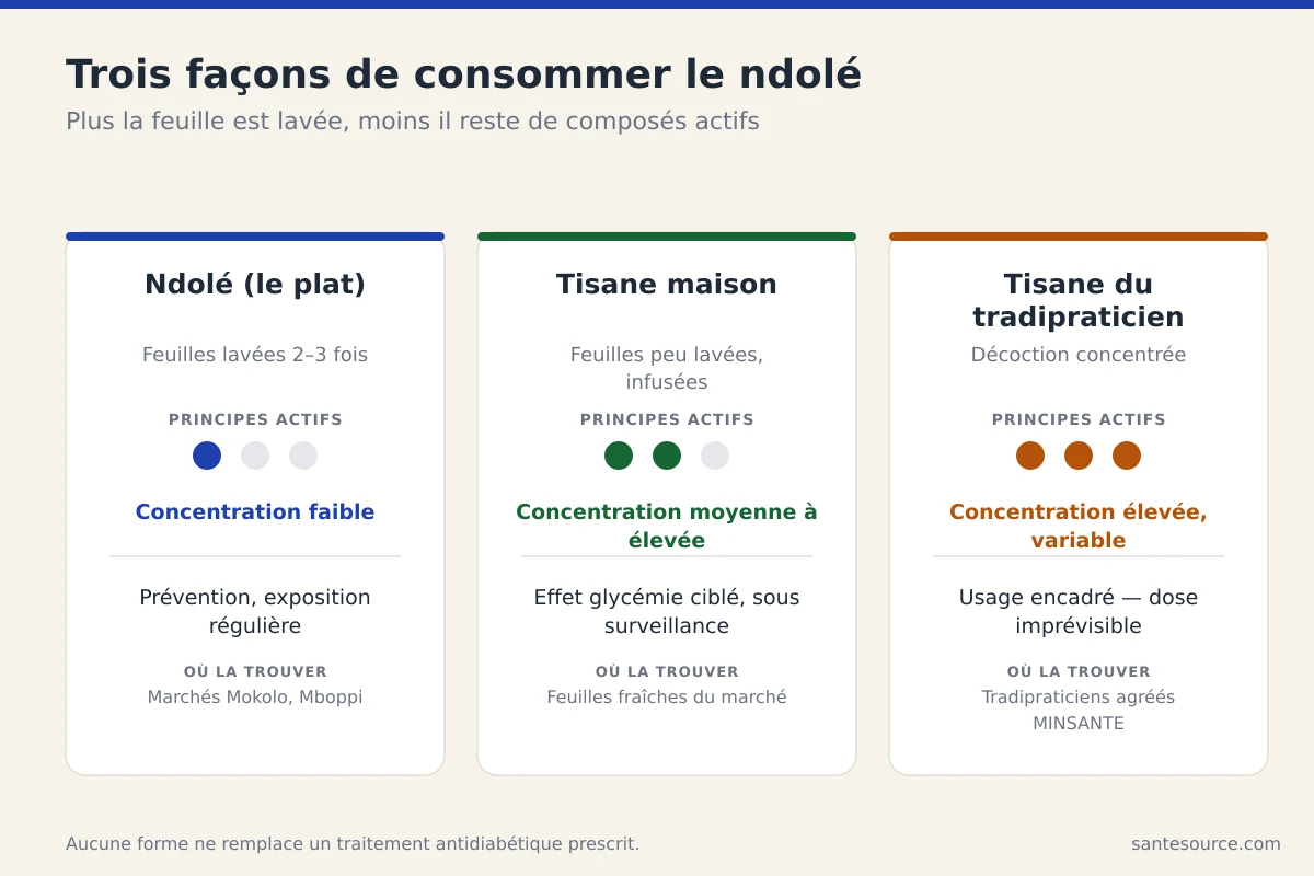 Comparaison ndolé en plat, tisane de feuilles et tisane concentrée du tradipraticien pour le diabète