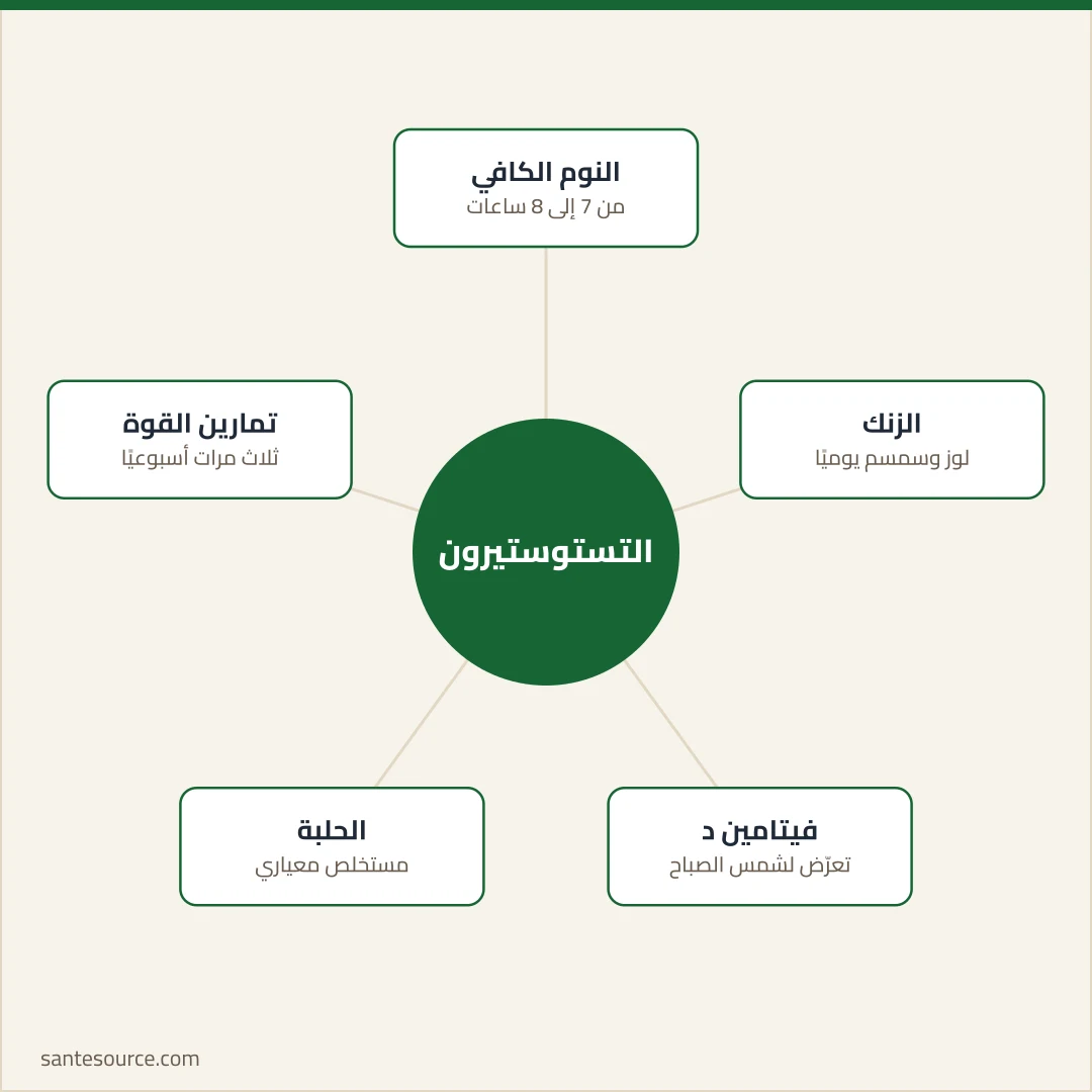 خريطة ذهنية لركائز رفع التستوستيرون طبيعيًا: النوم، الزنك، فيتامين د، الحلبة وتمارين القوة