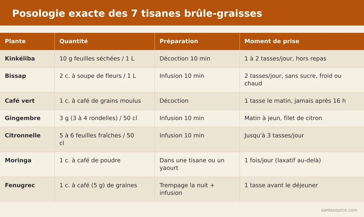 Tableau comparatif des posologies des tisanes brûle-graisses africaines : quantité, mode de préparation et moment de prise par plante