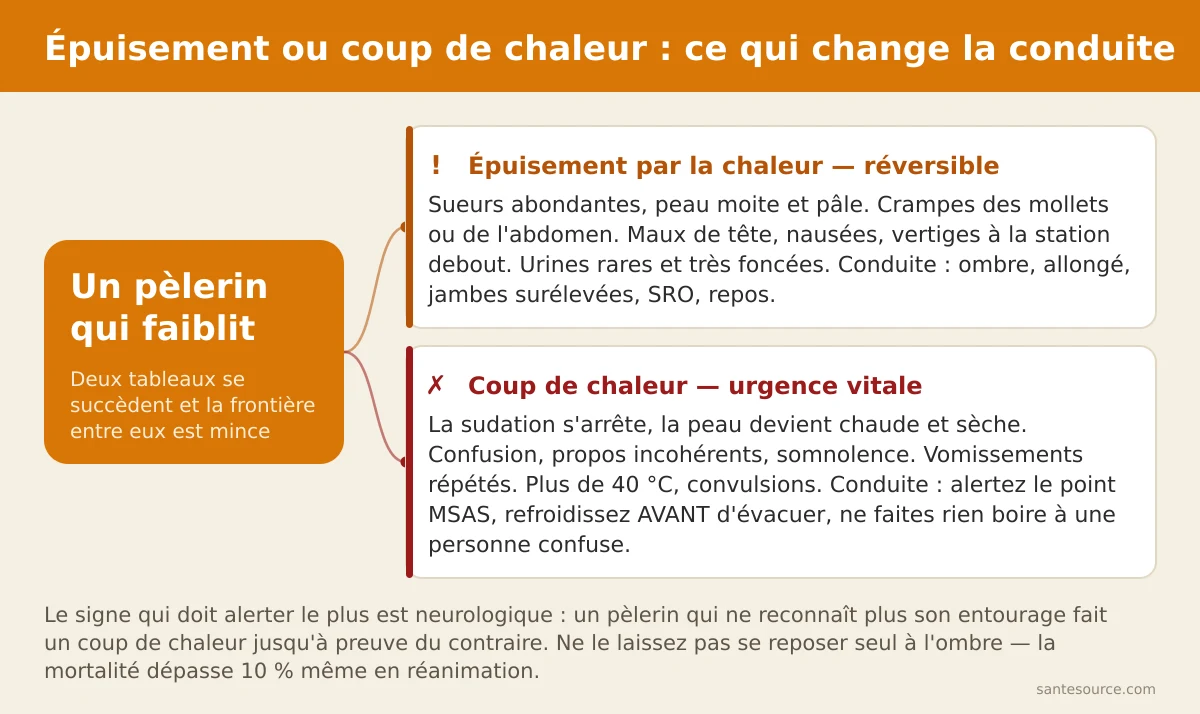 Arbre de décision des signes d'épuisement par la chaleur et de coup de chaleur au Magal de Touba