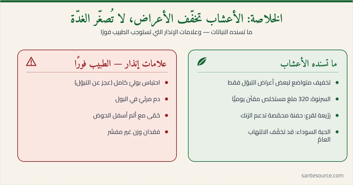 ملخّص متى تكفي الأعشاب ومتى يصبح طبيب المسالك ضرورة في تضخّم البروستات
