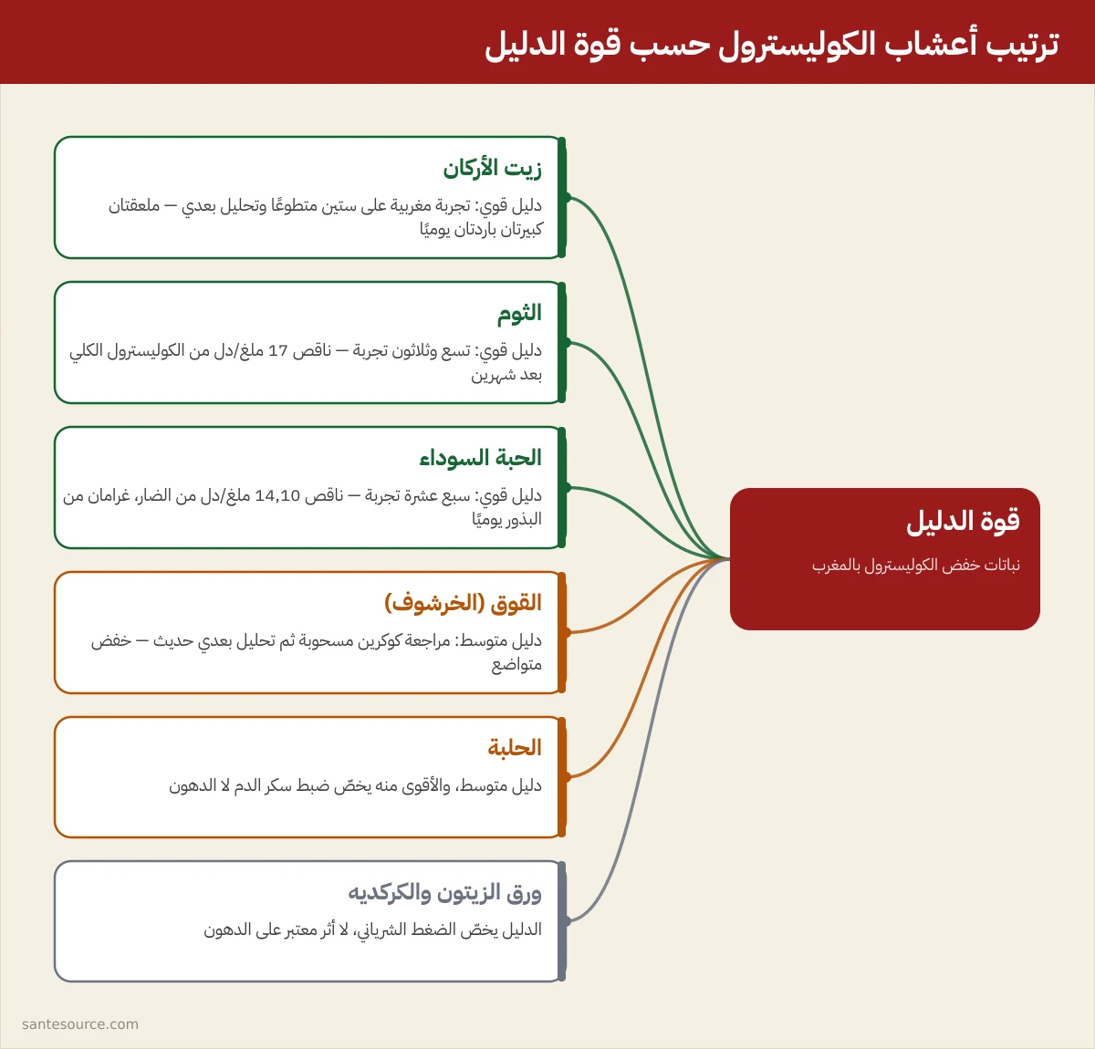 خريطة ذهنية ترتّب أعشاب خفض الكوليسترول في المغرب حسب قوة الدليل العلمي، من زيت الأركان إلى ورق الزيتون