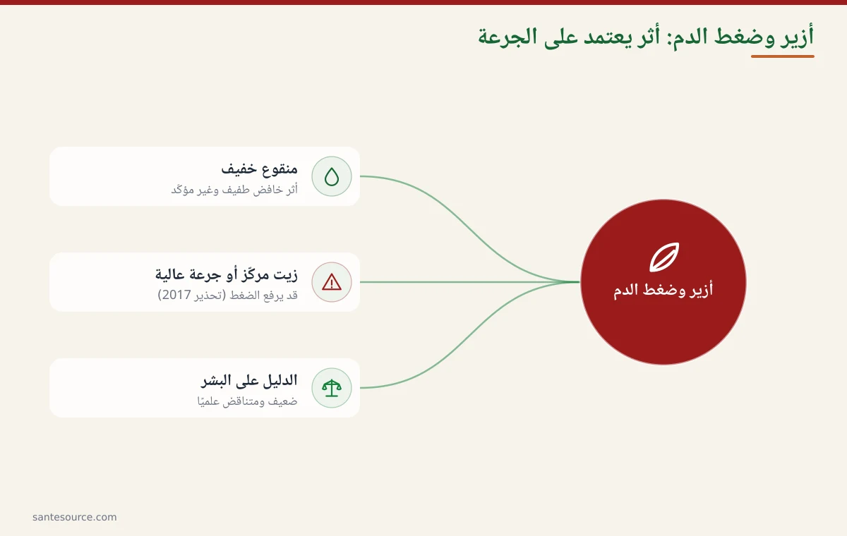 خريطة ذهنية توضّح أثر إكليل الجبل (أزير) المزدوج على ضغط الدم حسب الجرعة