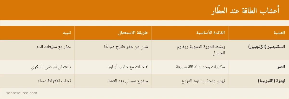 بطاقة مقارنة بين أعشاب الطاقة المغربية: سكنجبير والتمر ولويزة من حيث الفائدة وطريقة الاستعمال