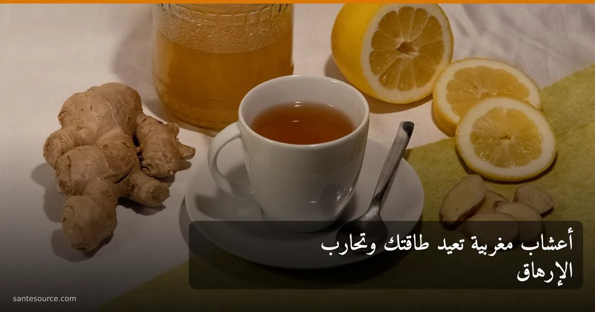 جذور الزنجبيل والتمر وأعشاب منشّطة، رمز علاج التعب والإرهاق المزمن في المغرب