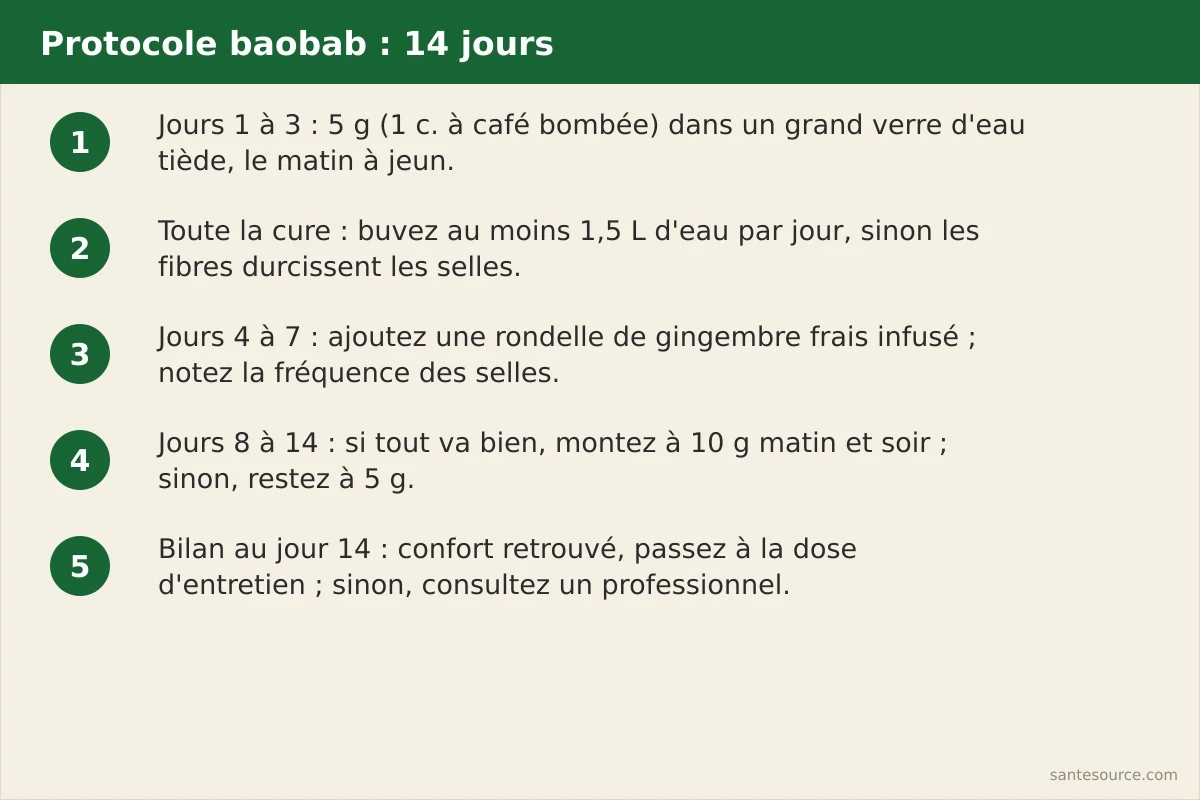 Étapes du protocole baobab sur 14 jours : démarrer à 5 g le matin à jeun, bien s'hydrater, ajouter du gingembre, ajuster la dose, faire le bilan