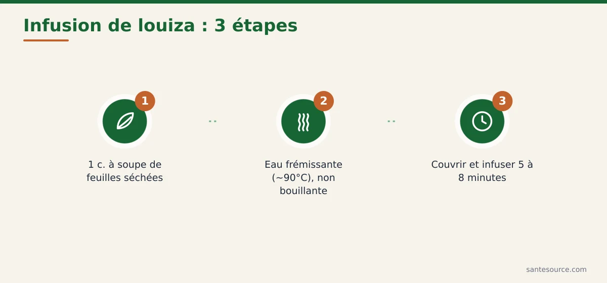 Étapes de préparation d'une infusion de verveine louiza : dose, eau frémissante, infusion couverte 5 à 8 minutes