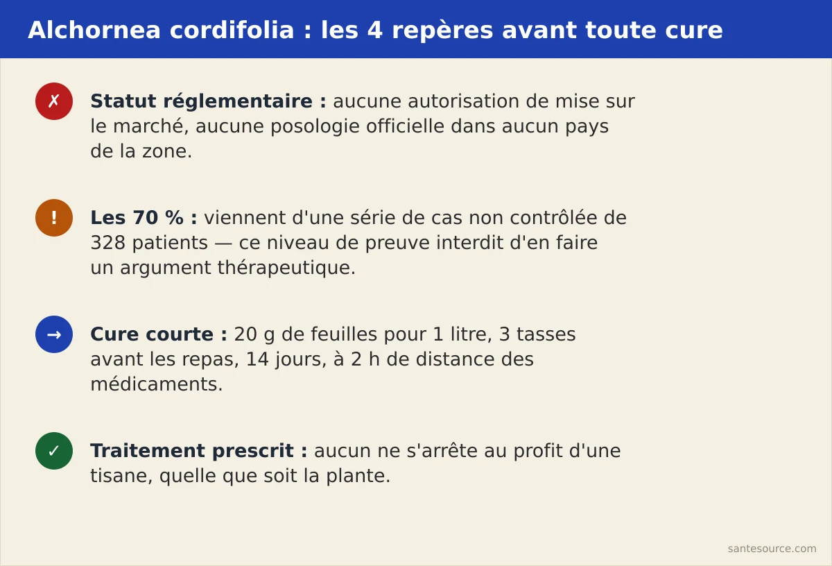 Récapitulatif Alchornea cordifolia : statut réglementaire absent, série de cas non contrôlée, cure de 14 jours, aucun arrêt de traitement