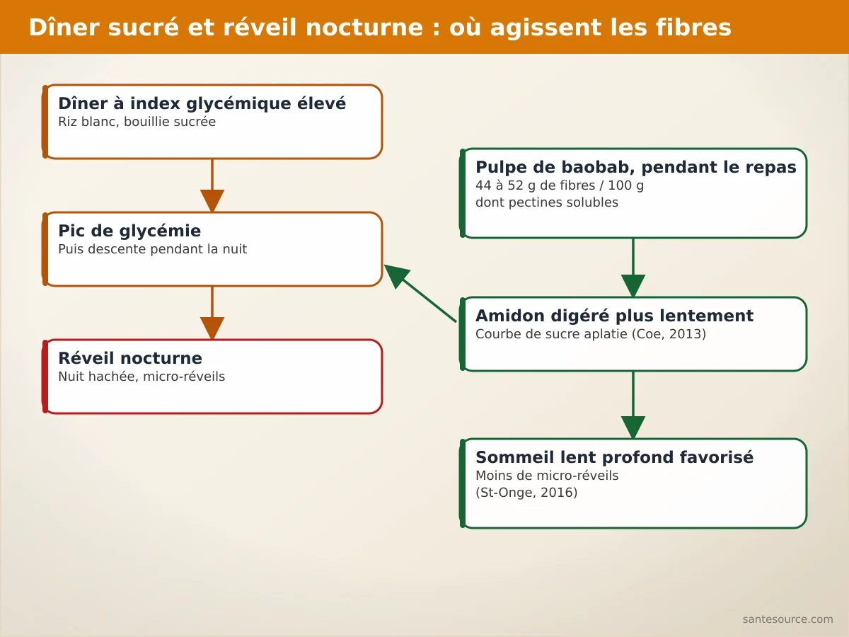 Schéma du pic de glycémie après un dîner sucré, de la chute nocturne qui réveille, et de l'effet aplatissant des fibres du baobab