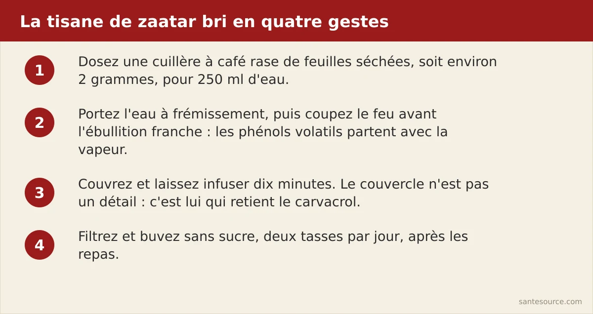 Quatre étapes de préparation de la tisane de zaatar bri : doser 2 g, chauffer l'eau à frémissement, couvrir dix minutes, filtrer