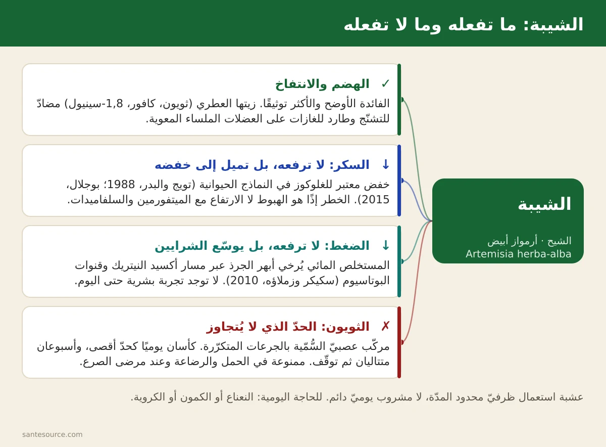 خريطة ذهنية لفوائد الشيبة المغربية: الهضم، السكر، الضغط، وحدود الثويون