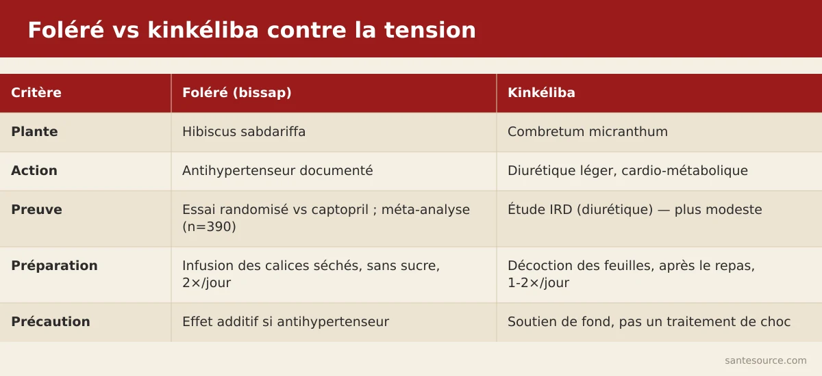 Comparaison côte à côte du foléré (bissap) et du kinkéliba pour faire baisser la tension