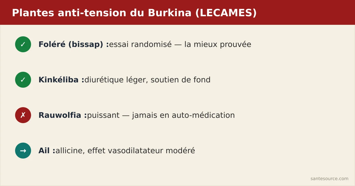 Carte mentale des plantes antihypertensives du Burkina Faso recensées par l'inventaire LECAMES