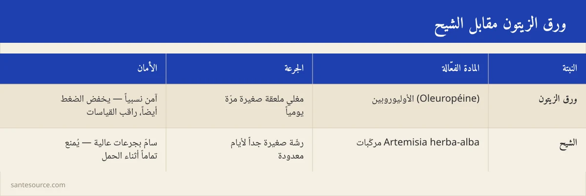 بطاقة مقارنة بين ورق الزيتون والشيح: المادة الفعّالة والجرعة والأمان