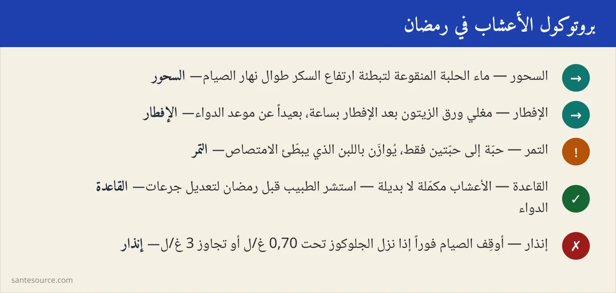 ملخّص بروتوكول الأعشاب في رمضان: السحور والإفطار وجرعات النباتات
