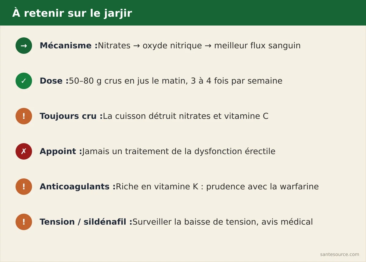 Récapitulatif des points clés sur le jus de jarjir pour la vitalité masculine et ses précautions