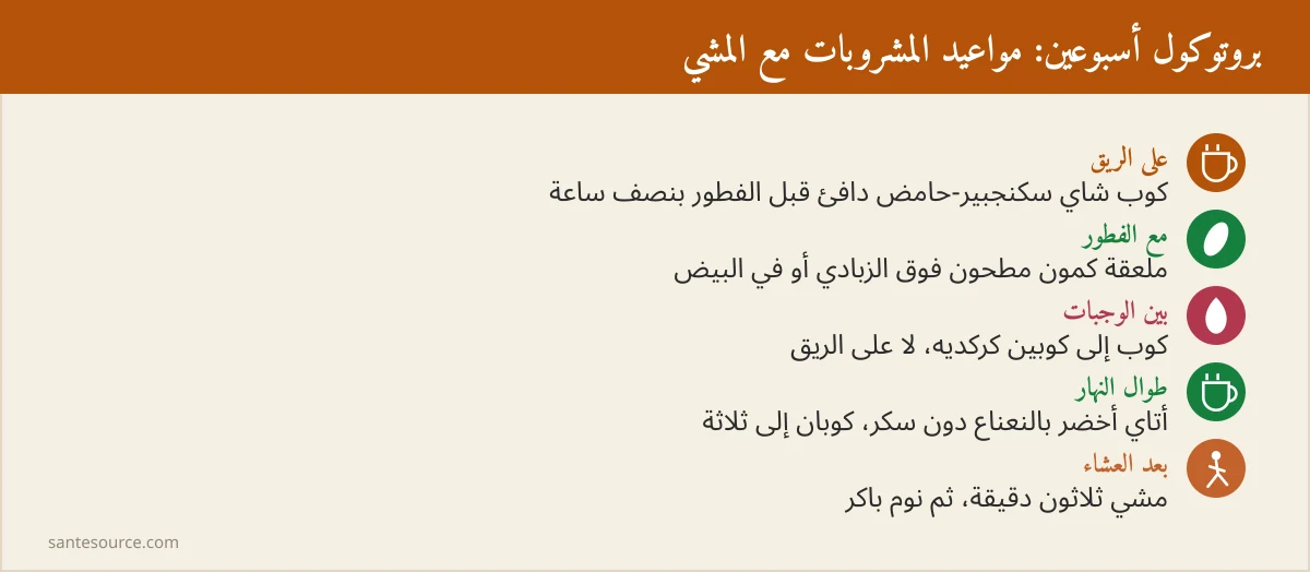 ملخص بصري لبروتوكول التخسيس الأسبوعي: مواعيد المشروبات النباتية والمشي