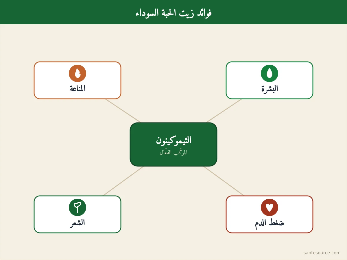 خريطة ذهنية لفوائد زيت الحبة السوداء: المناعة، البشرة، الشعر، ضغط الدم، مع الثيموكينون في المركز