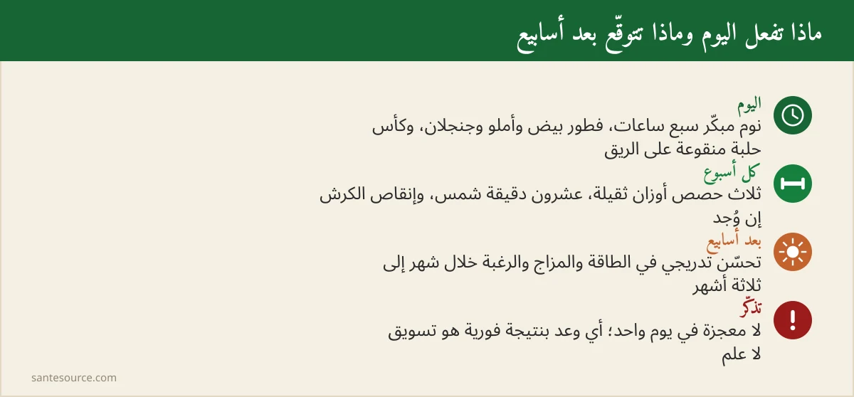 ملخص بروتوكول الأسابيع لرفع التستوستيرون طبيعيًا بالمطبخ المغربي