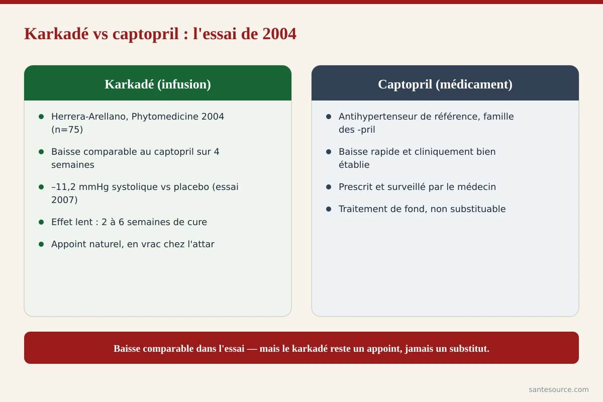 Comparaison de la baisse de tension obtenue avec l'infusion de karkadé et avec le captopril dans l'essai randomisé de 2004