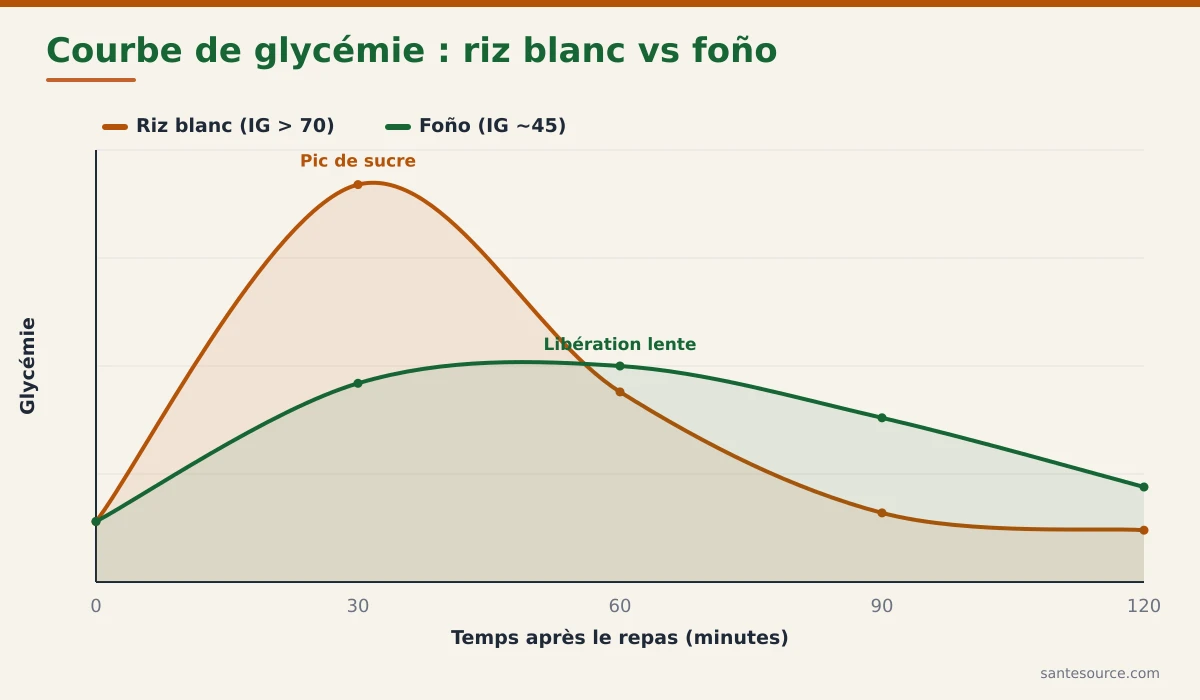 Courbe de glycémie comparée après un repas de riz blanc et un repas de foño à index glycémique bas