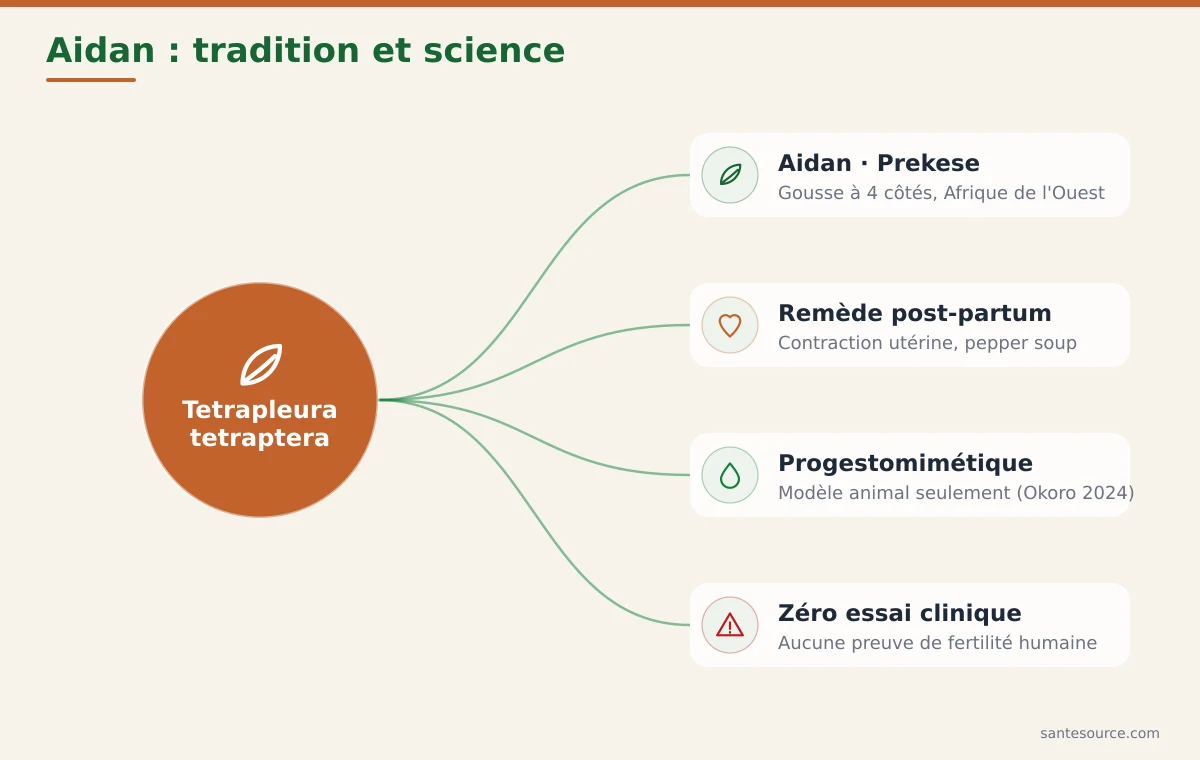 Carte mentale du Tetrapleura tetraptera : noms aidan et prekese, usage traditionnel et niveau de preuve scientifique