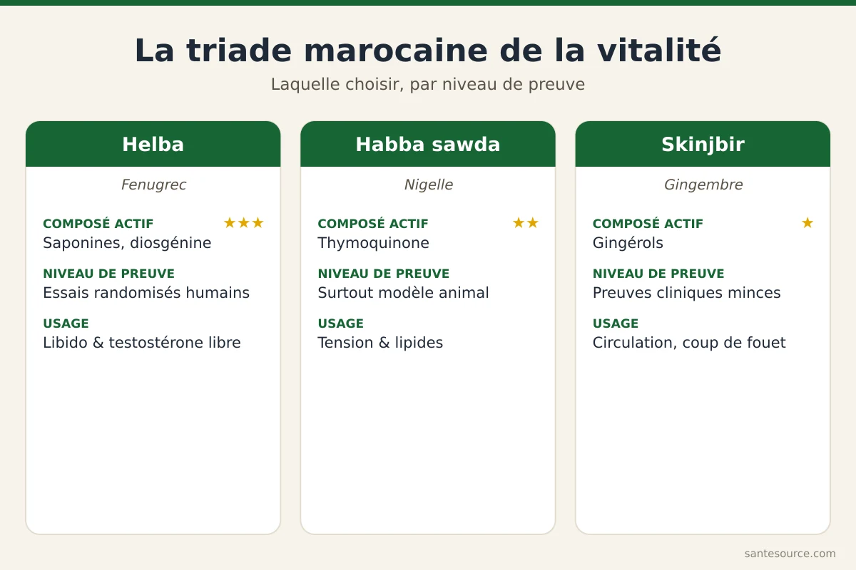 Comparaison de la helba, de la habba sawda et du skinjbir pour la testostérone et la libido masculine au Maroc