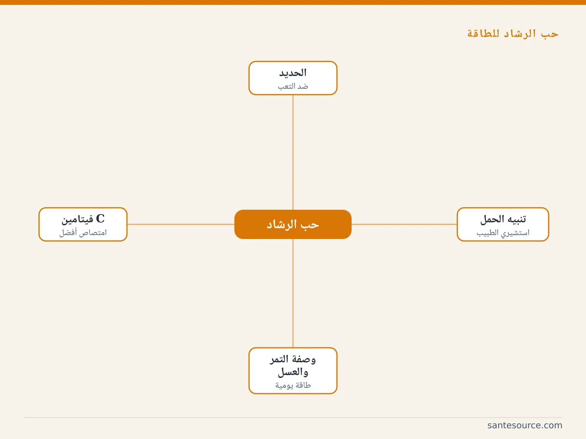 خريطة ذهنية لفوائد حب الرشاد للطاقة: الحديد، فيتامين C، وصفة التمر والعسل، وتنبيه الحمل
