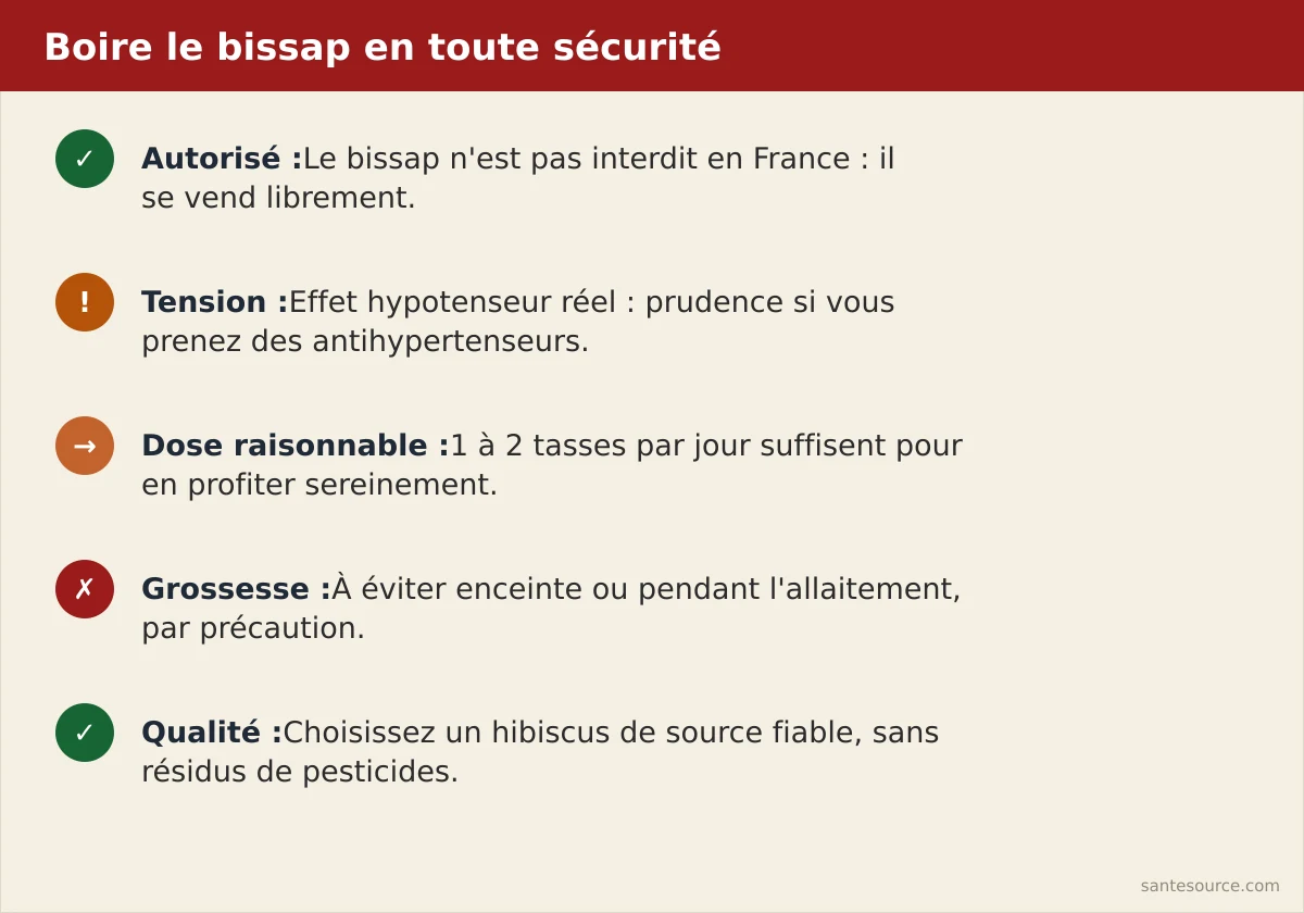 Résumé visuel des règles pour boire le bissap sans risque selon le profil de santé