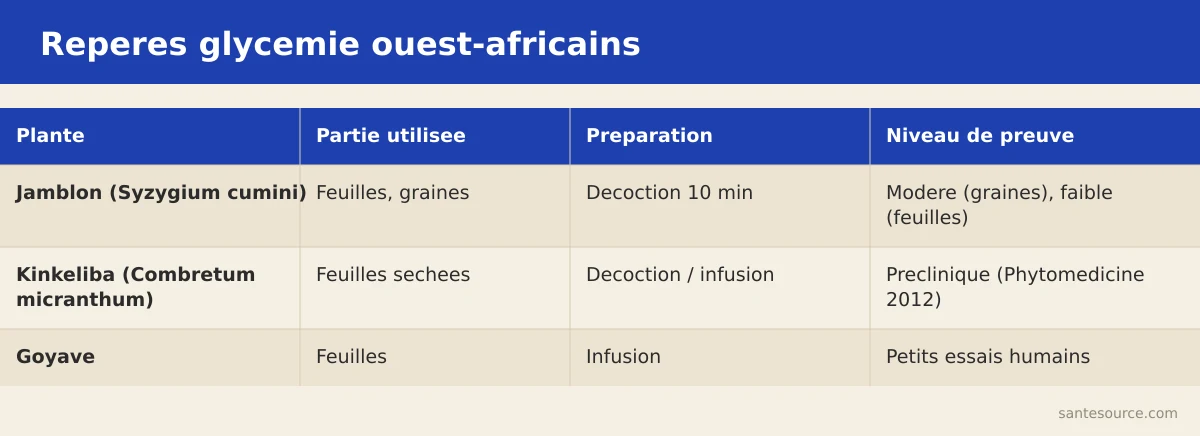 Comparaison jamblon, kinkéliba et goyave : partie utilisée, préparation et niveau de preuve