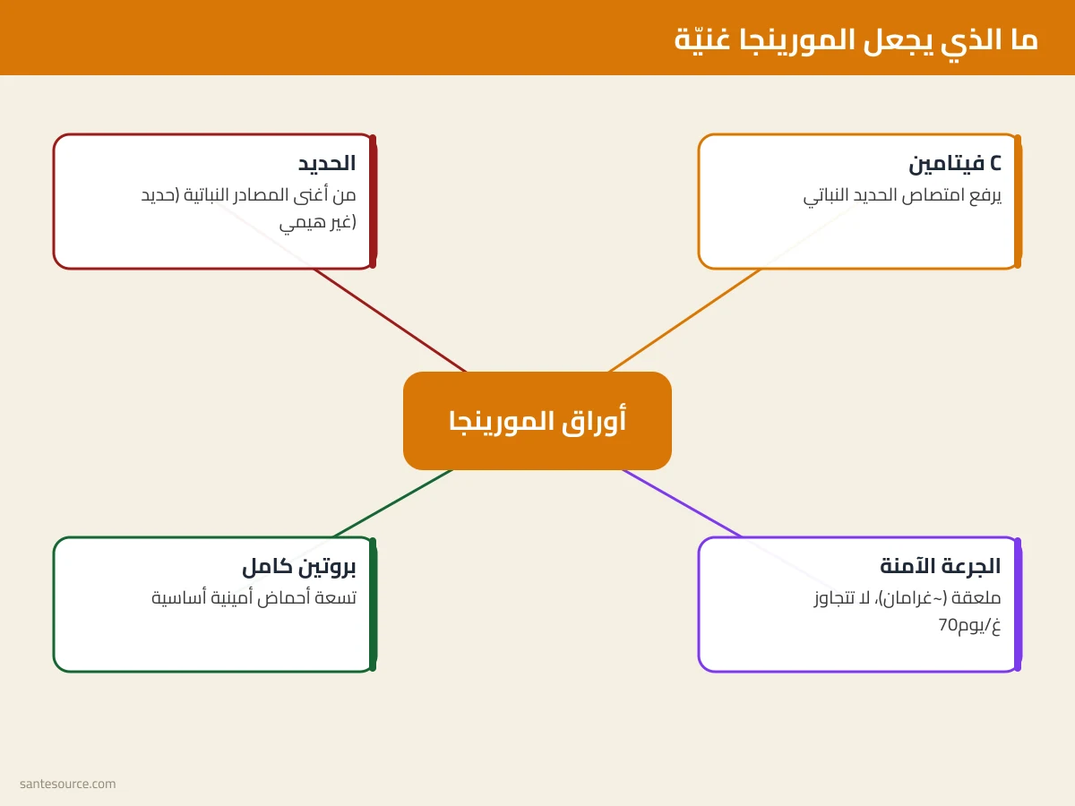 خريطة ذهنية لفوائد المورينجا للصحة بالمغرب: الحديد والطاقة وفقر الدم وفيتامين C مع الجرعة الآمنة