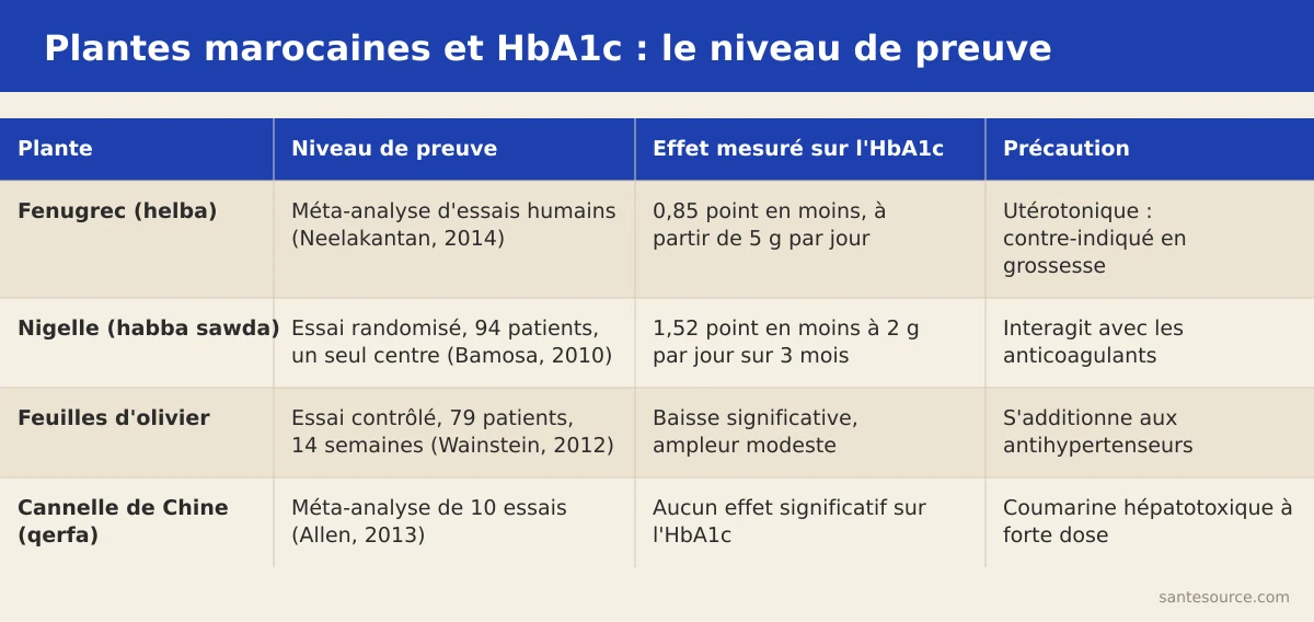 Comparaison des plantes marocaines helba, habba sawda, feuilles d'olivier et qerfa avec leur effet mesuré sur l'HbA1c