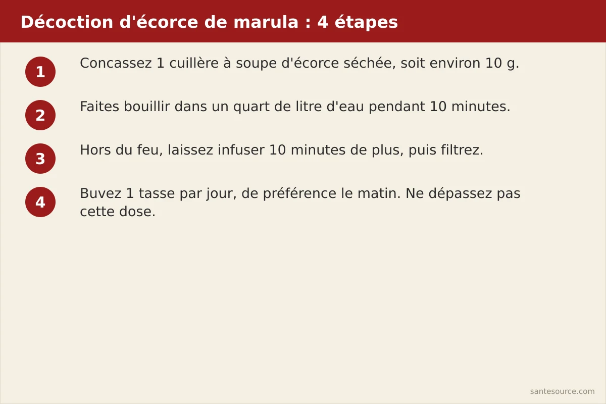 Étapes de préparation de la décoction d'écorce de marula : concasser, faire bouillir dix minutes, infuser, filtrer, une tasse par jour