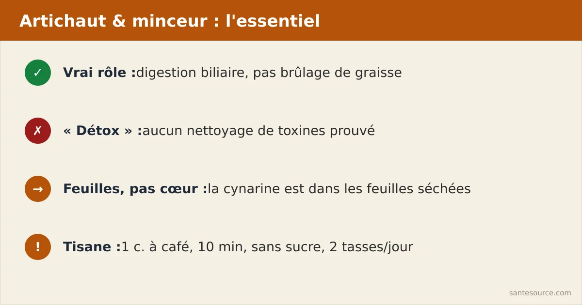 Récapitulatif des points clés sur la tisane d’artichaut et la minceur au Maroc