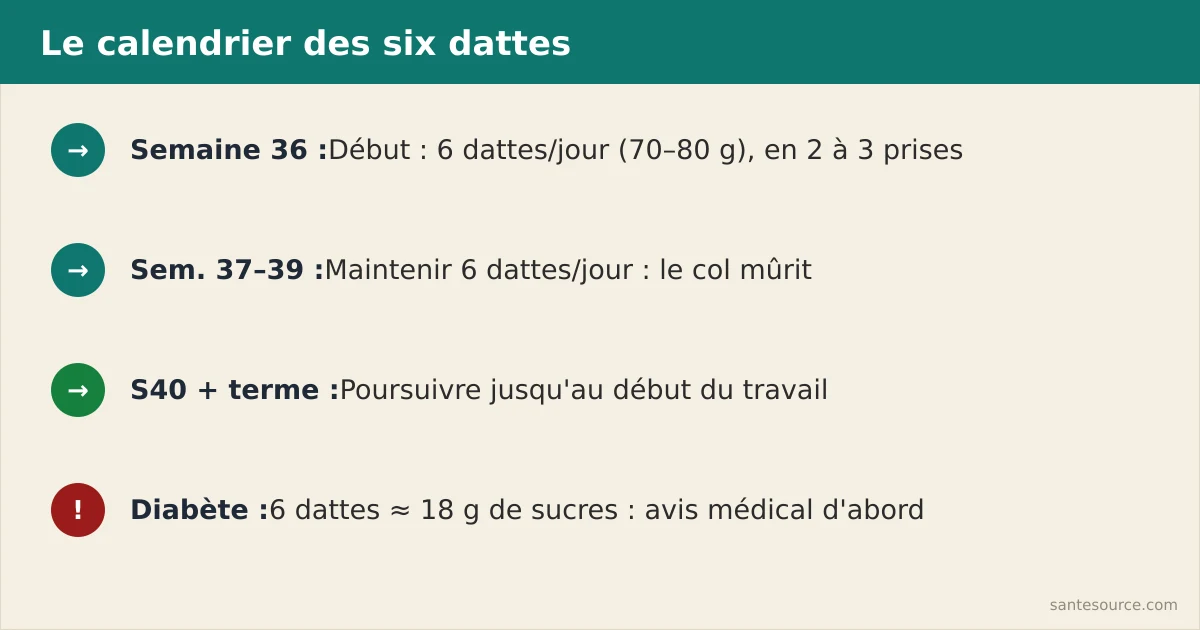 Calendrier récapitulatif des dattes à manger semaine par semaine de la 36e semaine au terme