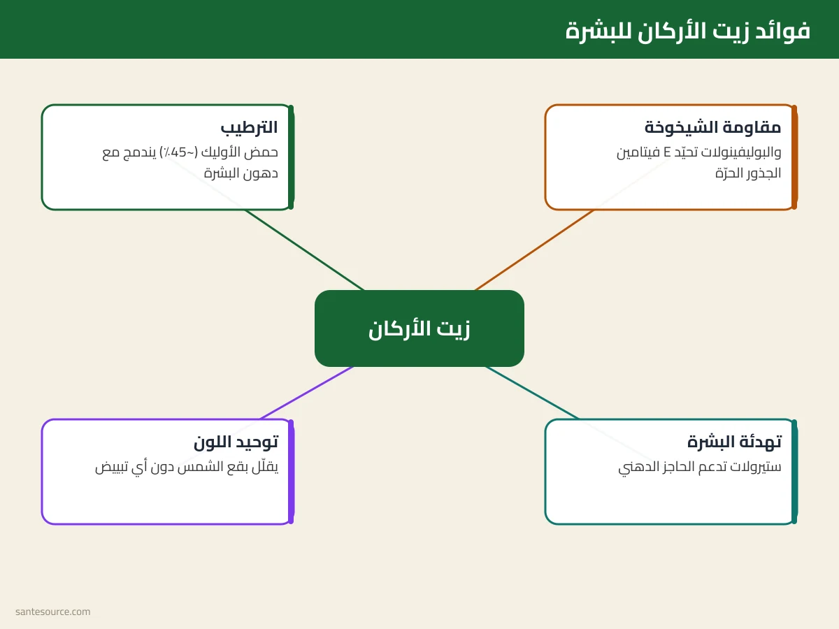 خريطة ذهنية لفوائد زيت الأركان للبشرة: الترطيب ومقاومة الشيخوخة وتوحيد اللون ومكوّناته الفعّالة