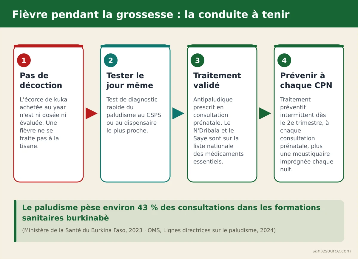 Arbre de décision : fièvre pendant la grossesse au Burkina Faso, test de paludisme au CSPS, traitement validé, moustiquaire imprégnée