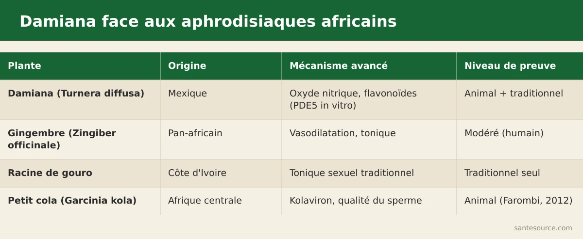 Comparaison damiana, gingembre, racine de gouro et petit cola par origine, mécanisme et niveau de preuve