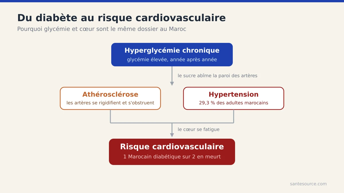 Schéma reliant l'hyperglycémie chronique à l'athérosclérose, l'hypertension et le risque cardiovasculaire chez le patient diabétique marocain