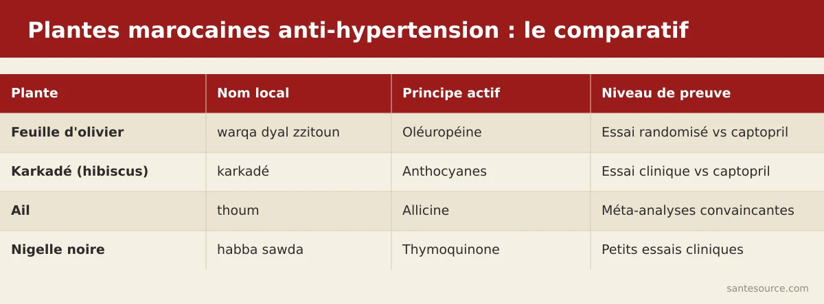 Comparatif feuille d'olivier, karkadé, ail et nigelle pour la tension avec niveau de preuve