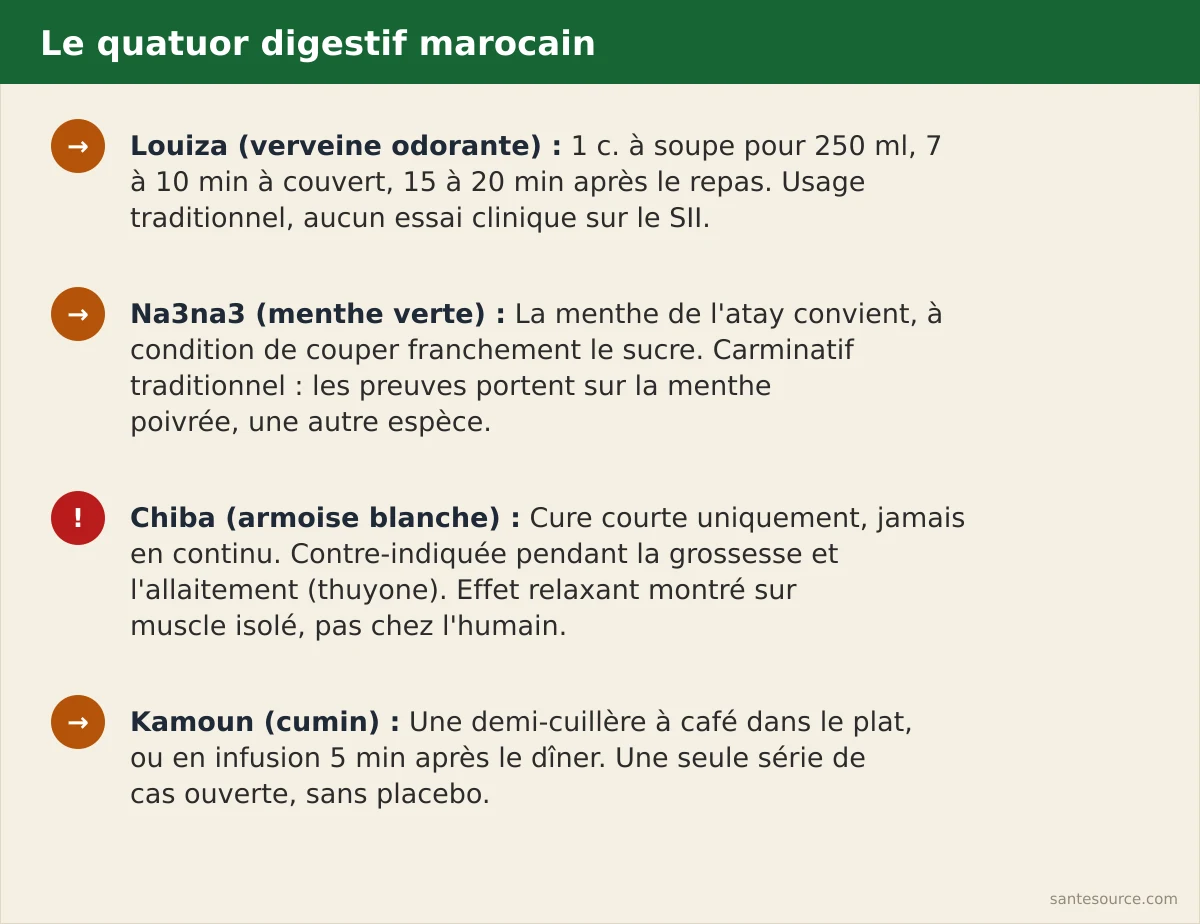 Récapitulatif du quatuor digestif marocain : louiza, na3na3, chiba, kamoun, avec niveau de preuve et moment de prise