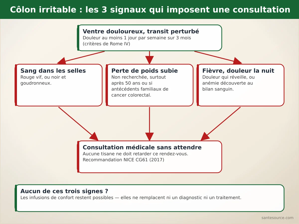 Arbre de décision : sang dans les selles, perte de poids ou fièvre imposent une consultation avant toute tisane