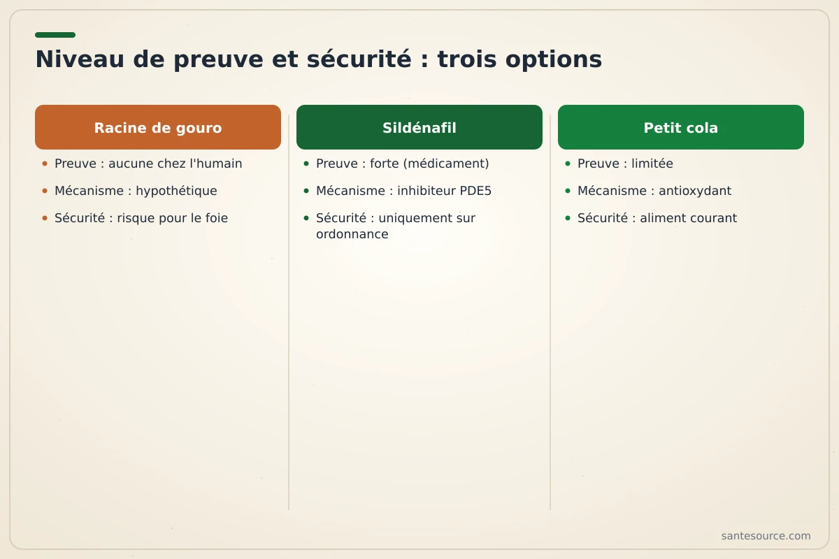 Comparaison racine de gouro, sildénafil et petit cola selon preuve clinique, mécanisme et sécurité