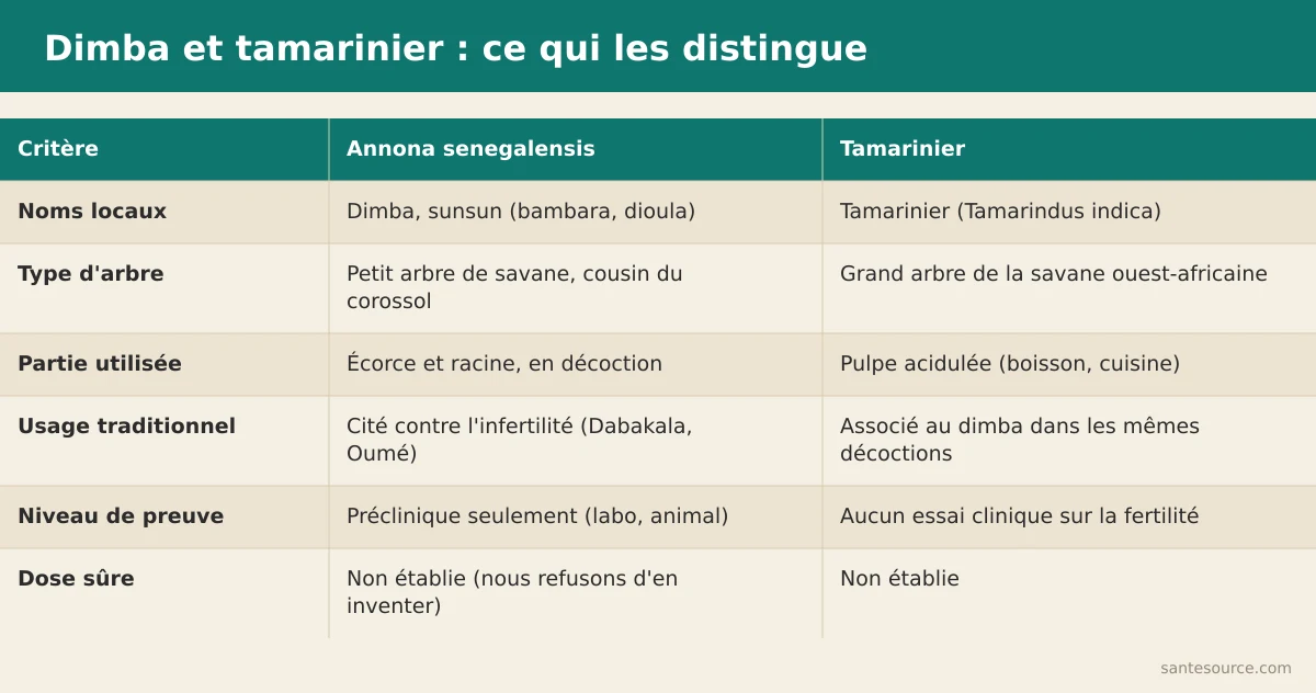 Comparaison côte à côte de l'Annona senegalensis et du Tamarindus indica : noms locaux, partie utilisée et niveau de preuve scientifique